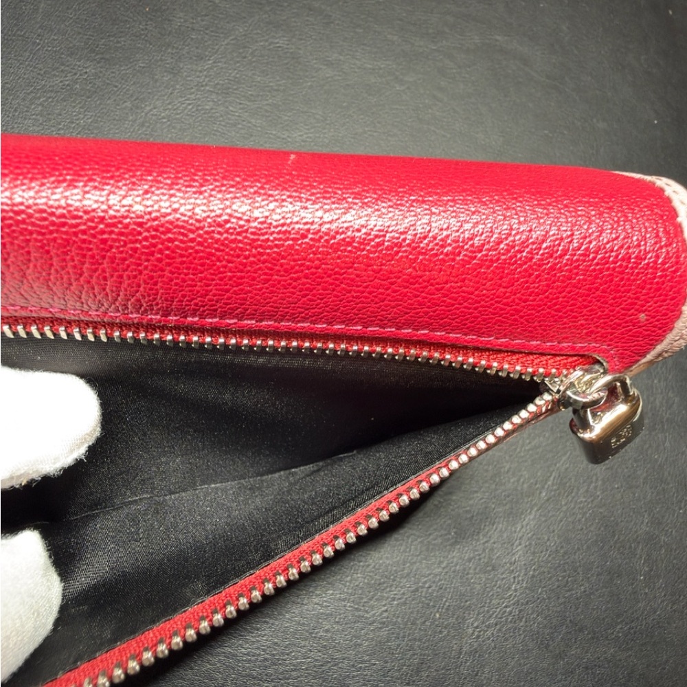 Loewe Amazona Wallet - Picture 8 of 16